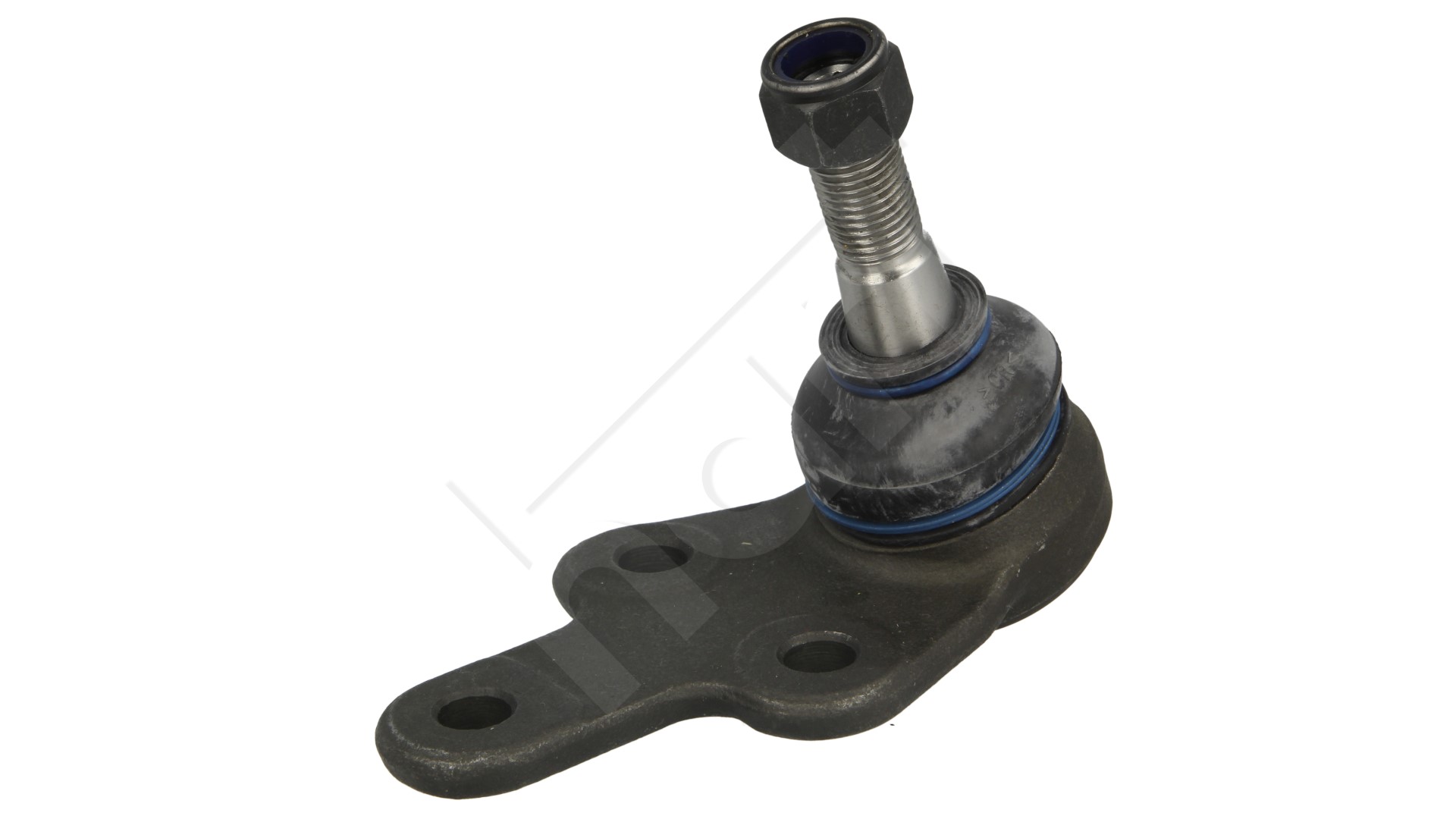 430 570_B SWORZEN FOCUS 03- /L+P/