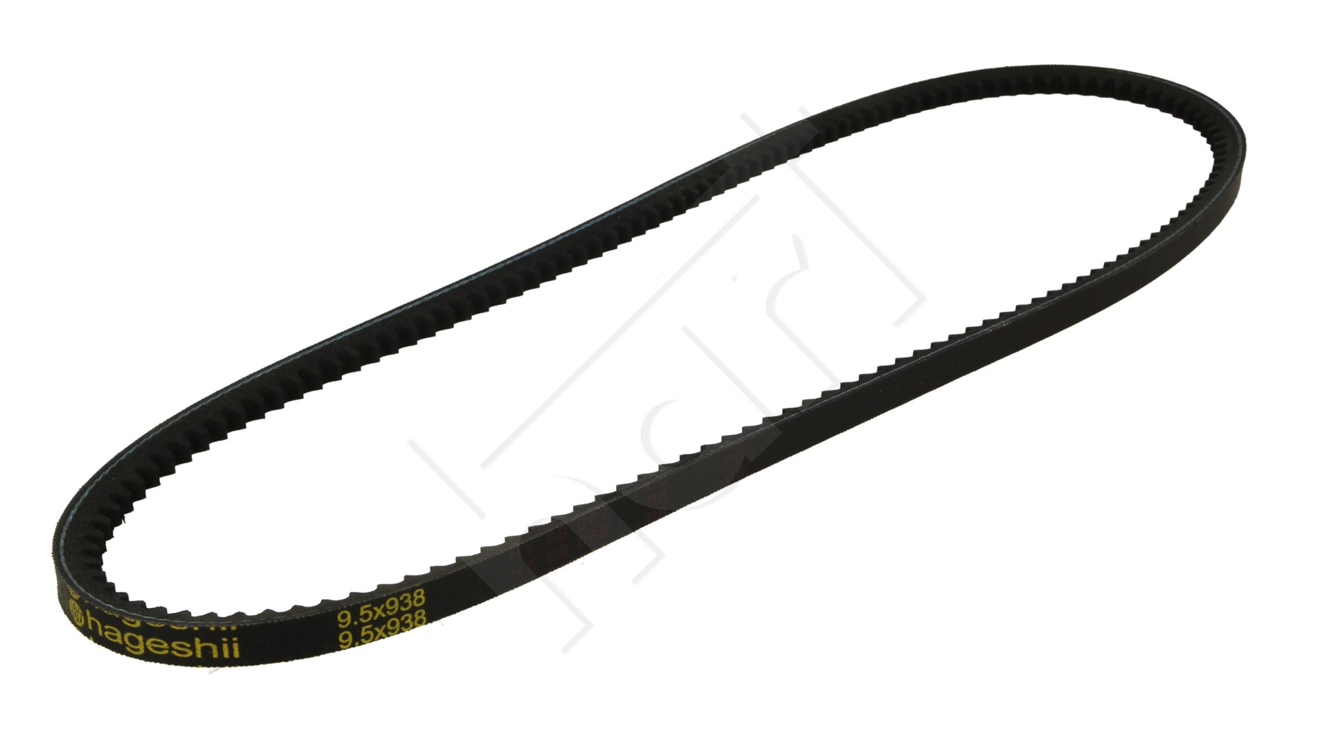 305 744_B PASEK KLIN.9.5X938